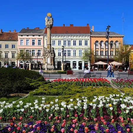 Eisenberg Vaskeresztes